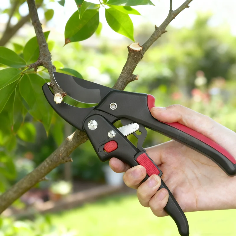 SK5 Steel Bypass Pr… - image