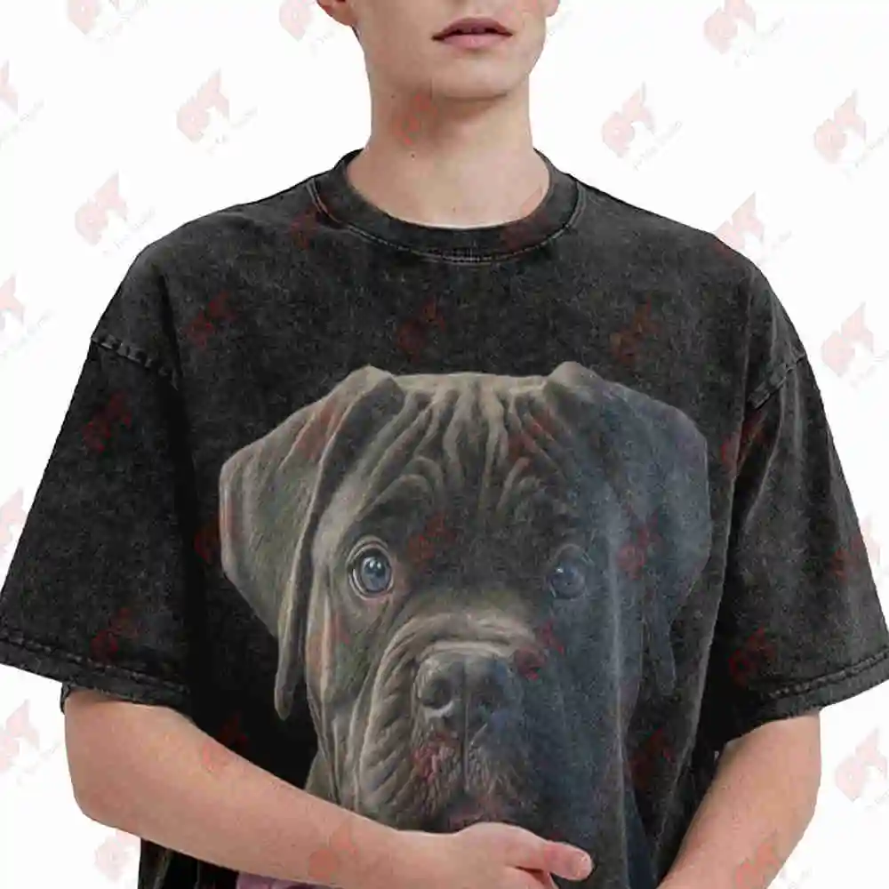 Cane Corso Bulldog Dog Breed Vintage Washed Tee Pure Cotton T-Shirt