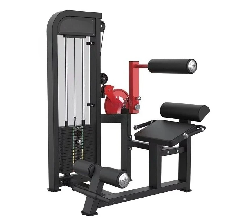 New Materials High Quality Commercial Gym Materials Strength Training Back and Abdominal Combination Fitness Equipment