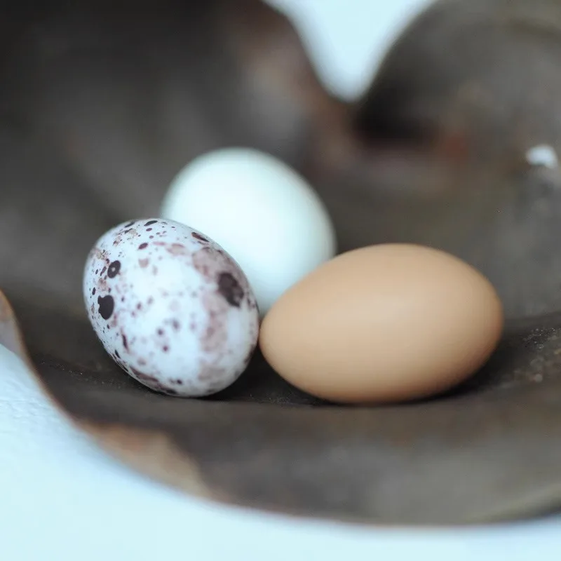 Resin Bird Nest Miniature Model - Artificial Eggs for Diorama Moss Terrarium Unique Desk Decor Stress Relief Artisan Craft