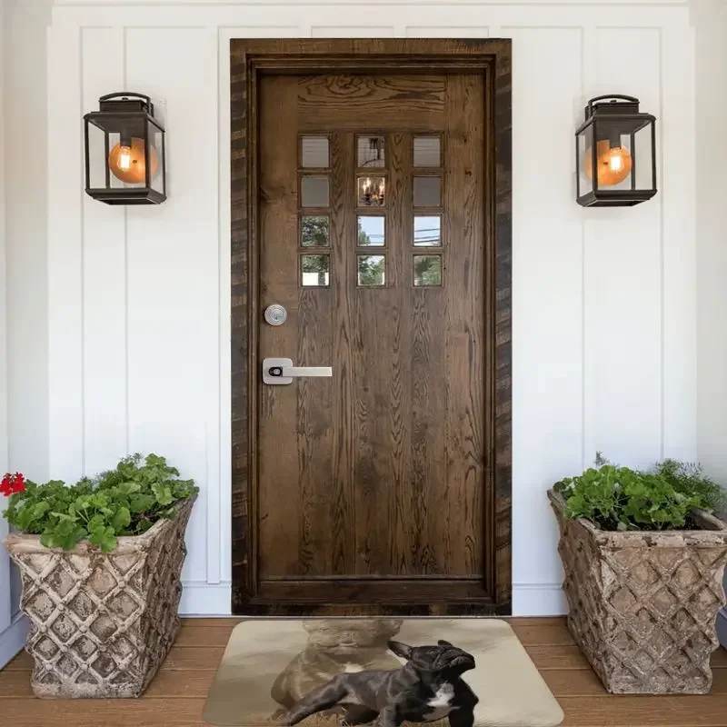 Personalizzato Cool Bulldog francese zerbino tappetino antiscivolo Pet Dog bagno cucina camera da letto tappeto 40*60cm