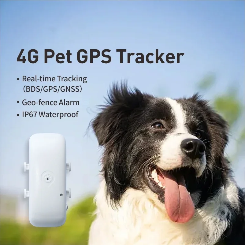 Pet 4G GPS Tracker Pet GPRS Locator Best Mini Tracking Device For Dog Cat With Free APP Waterproof IP67 Collar Anti-lost Pets