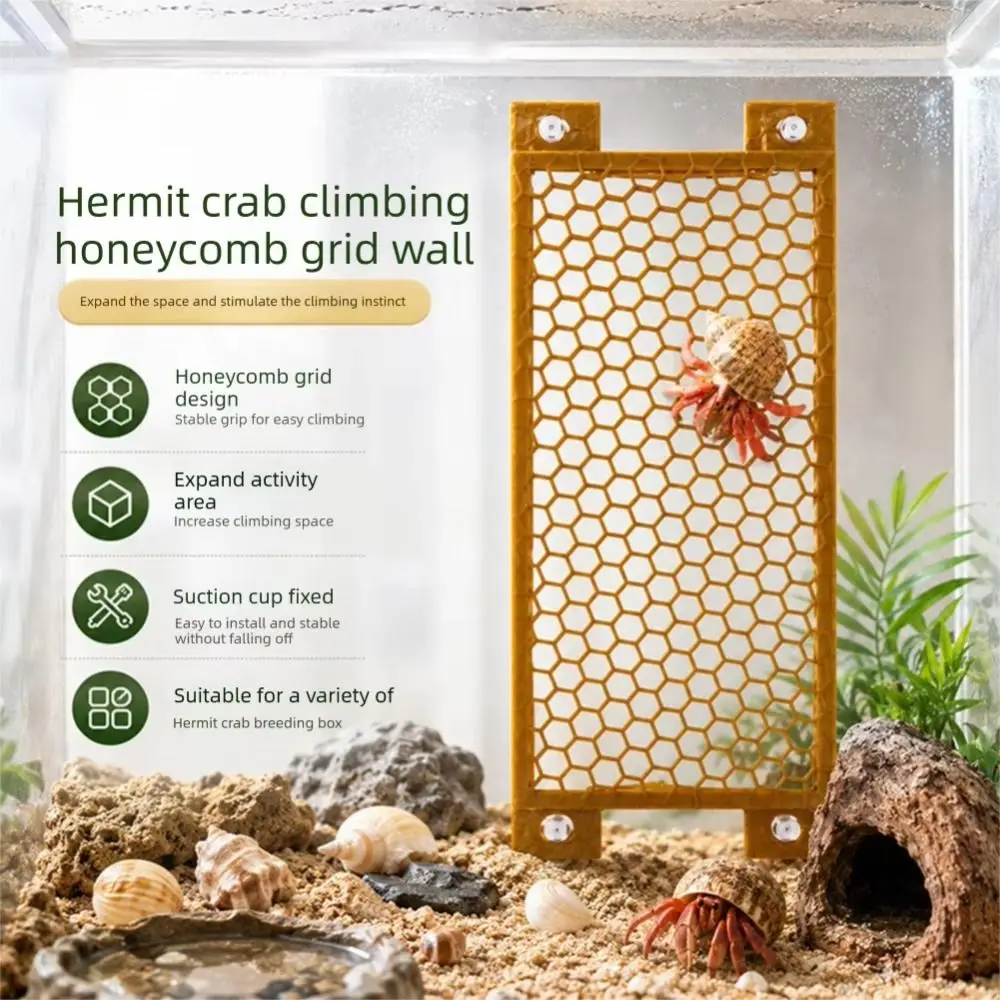 PETG Material Hermit Crab Climbing Toy Anti-Slip Honeycomb/Round Hole Reptile Climbing Toy Secure Suction Cup Easy Installation