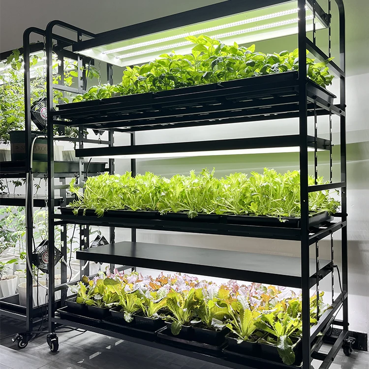 High Quality Gardening Indoors 4 Foot Full Spectrum 6400k Plant Grow LED  Light System with Stand