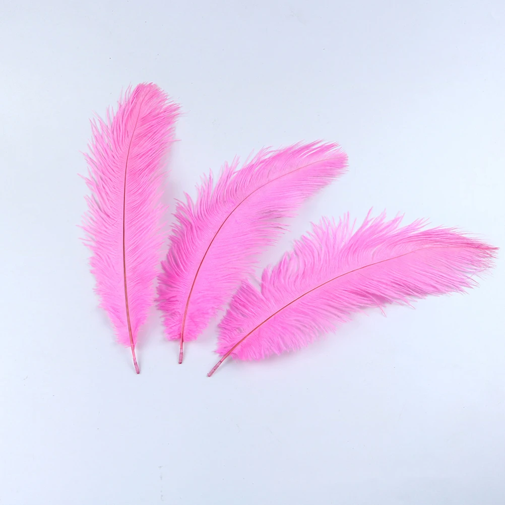

10Pcs Wedding Ostrich Natural White Craft Decoration for Party Centerpieces Home Decor Masquerade Mardi Gras Costumes