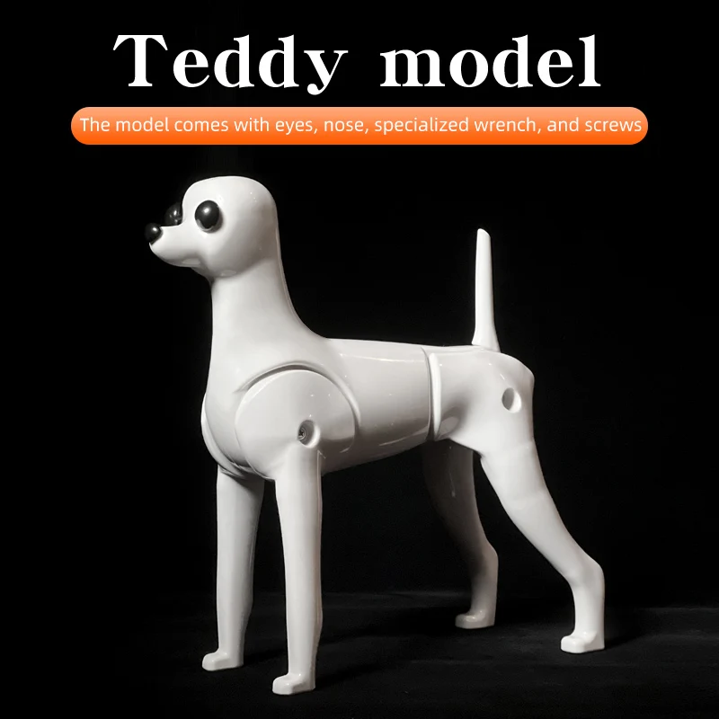 Teddy Simulation Hair Beauty  Beautician Practicing Dog Standard Teddy Full Body pet Skeleton Model Pet Groomer grey student
