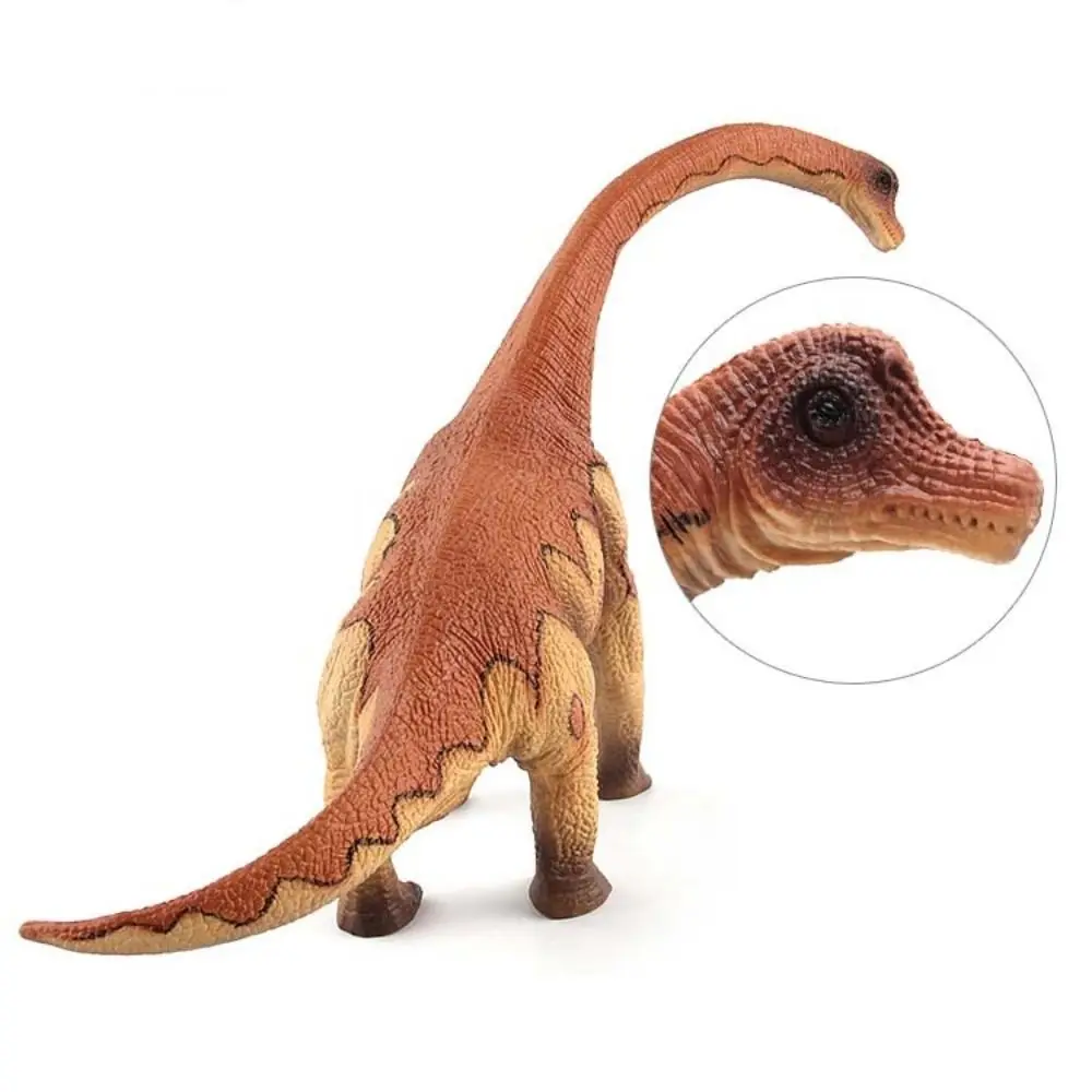 

Травяная модель динозавра, имитация динозавра апатозавра, экшн-фигурки, домашний декор, обучающая коллекция динозавров Юрского периода