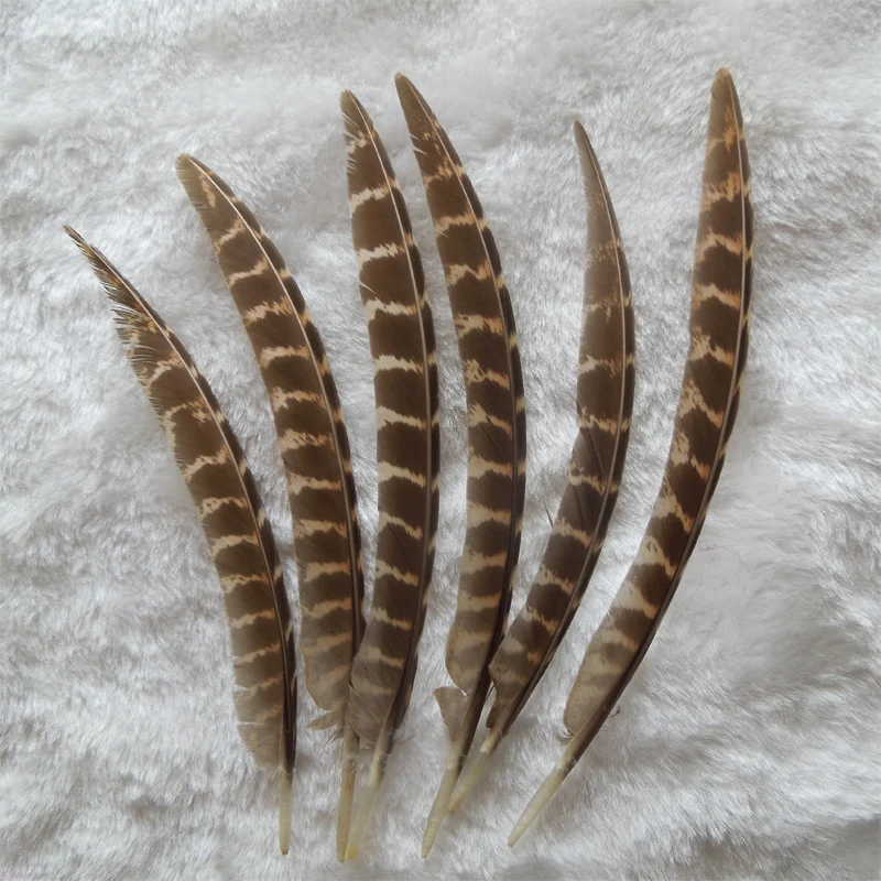 200Pcs/LOT,13-20CM NATURAL Ringneck Pheasant Wing Feathers,Wholesale Plume Quills,Male/Female Ringneck Quills