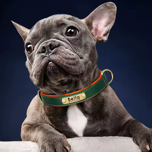 Customized PU Leather Nameplate Dog Collar Soft Padded Dogs Collars Free Engraving Name for Small Medium Large Dogs Adjustable - Image 2