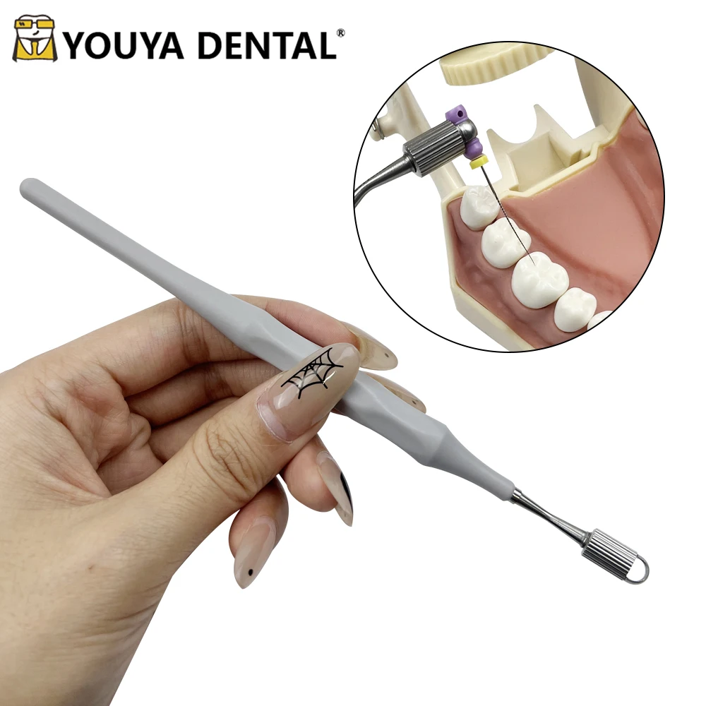 

Dental Endodontic File Holder 134℃ Autoclaved Handuse Files Gripper Root Canal Files Machine Rotary Files Holder