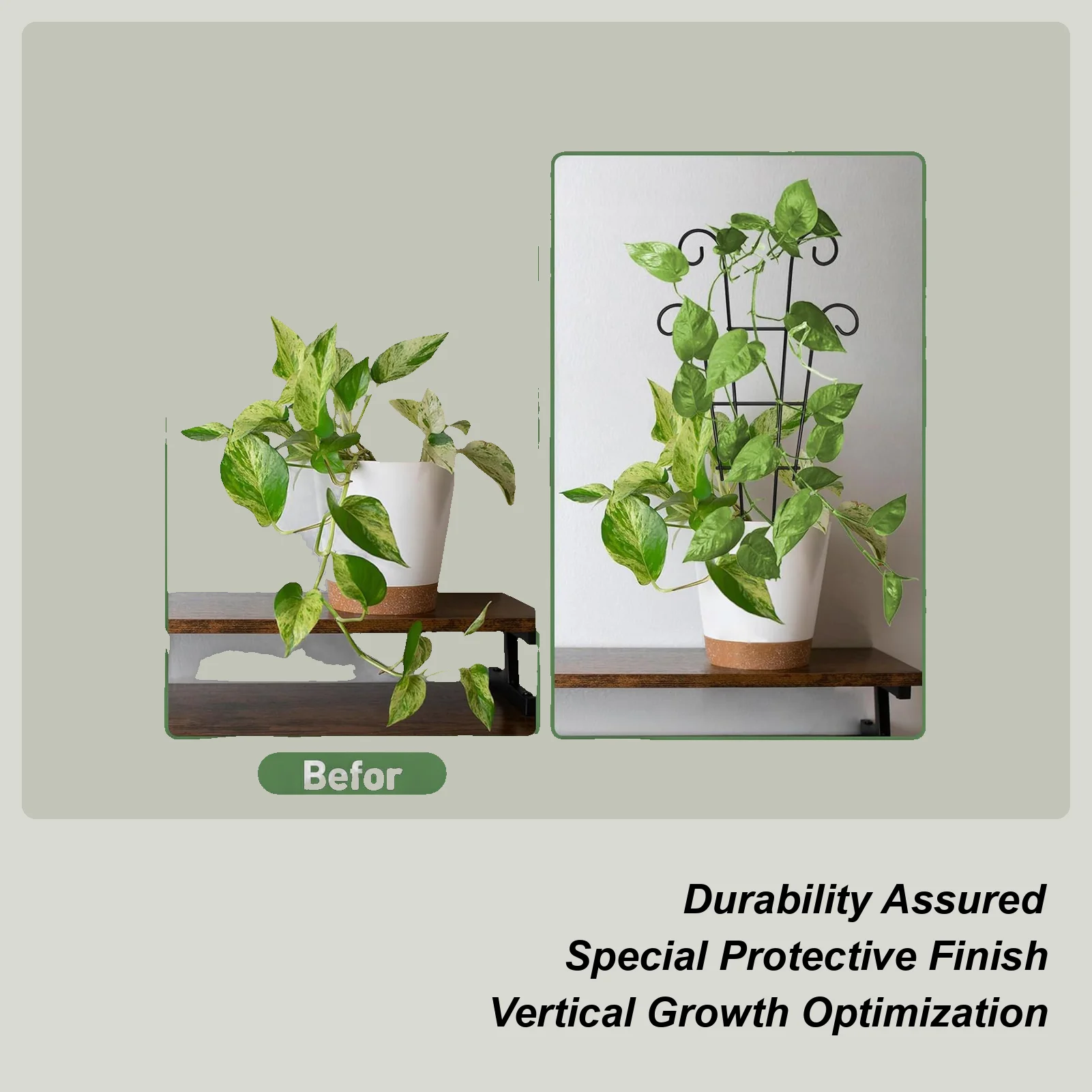 

Plant Trellis Indoor 4 Pieces Metal Plant Support Trellis 36cm Monstera Climbing Stakes For Indoor Home Office Balcony Porch