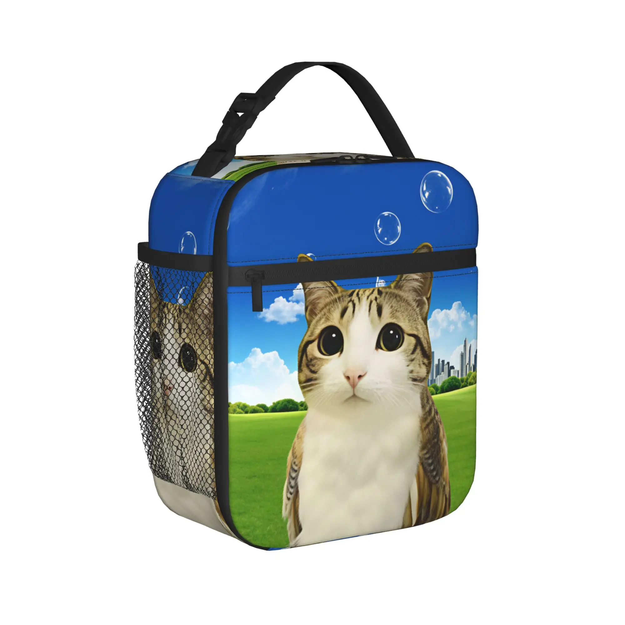 Cat Owl Funny  Lunch Bag  Leisure Lunch Box Outdoor Picnic Portable Tote Food Bags For Men Waterproof Custom Cooler Bag