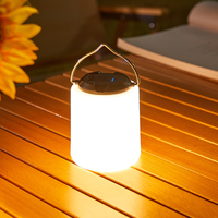 XF-F02 Plug-in Camping Hand Light Outdoor Super Bright Portable Night Light Emergency Lighting Portable Hand Light,B