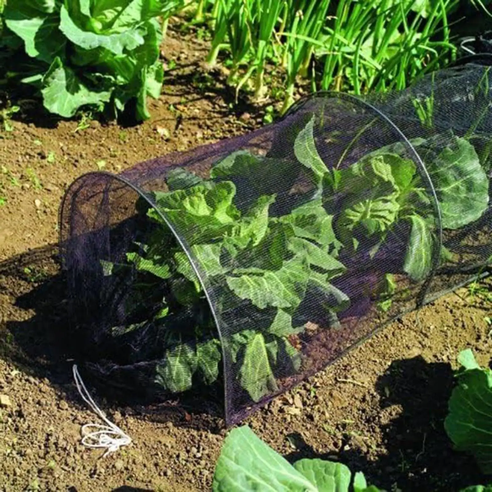 

Shade for Plants Grow Tunnel Portable Greenhouse Row Covers Tent Protection Shade Net Tunnel forVegetable Outdoor Backyard Patio