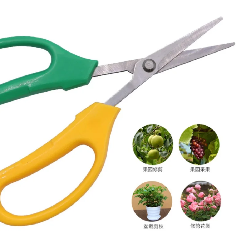 Gardening Tool Scissors Two-color Branch Bonsai Scissors Elbow Rare Fruit Picking Grape Scissors Picking Tool