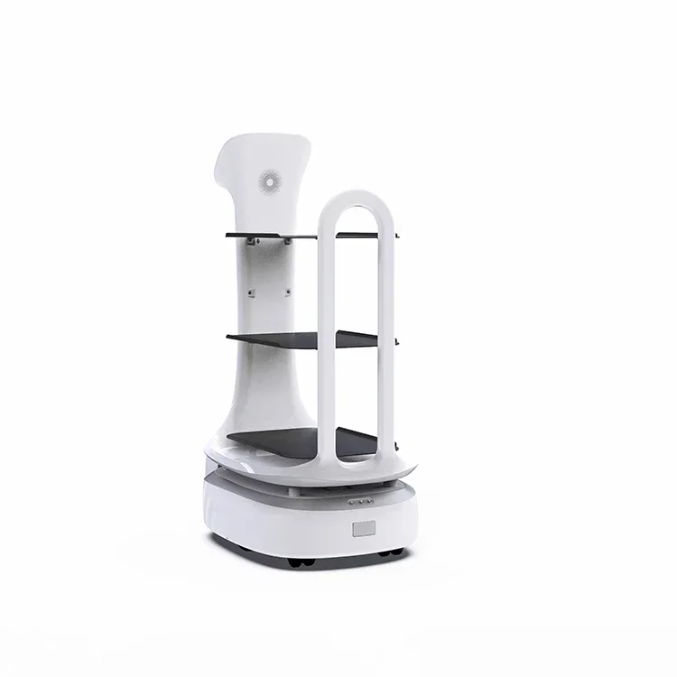 Manufacturers Direct Sale Custom Intelligent Food Delivery Robot