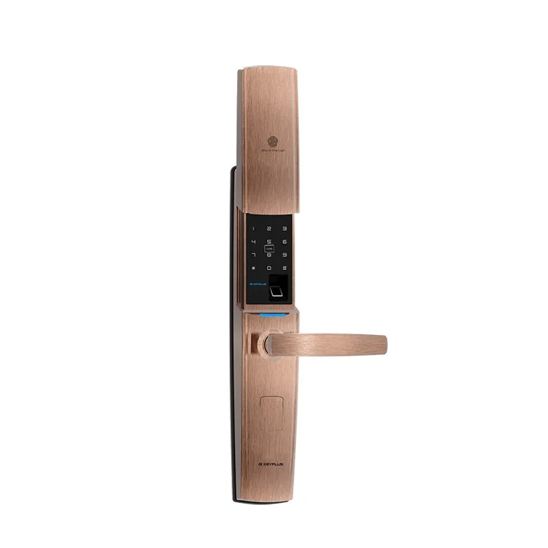 

Guangdong Multifunctional Anti Theft Electronic Fingerprint Password Digital Intelligent Lock