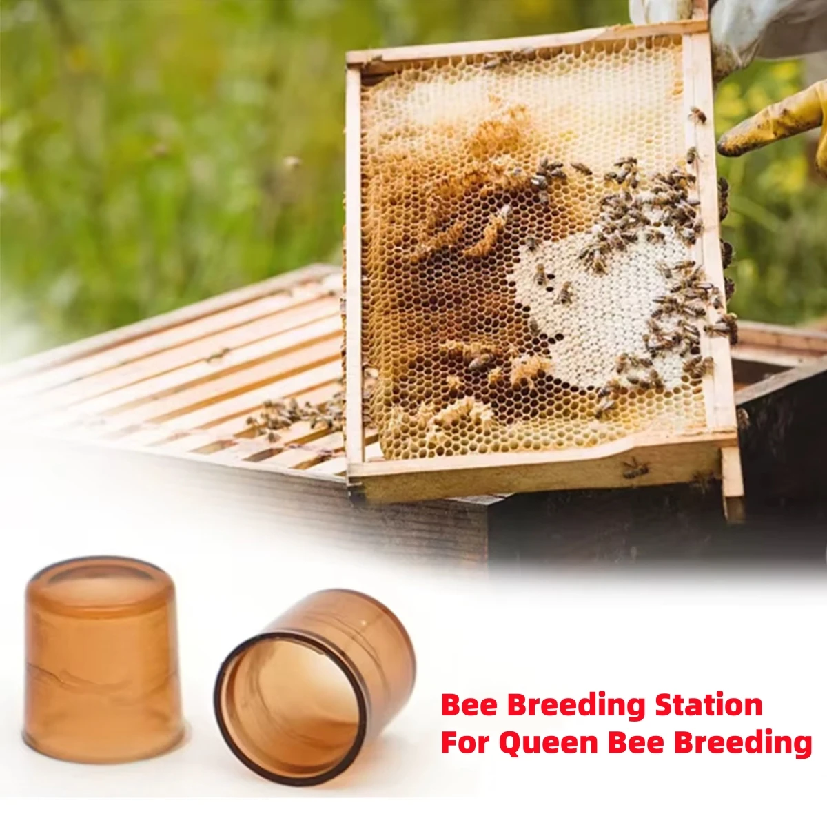 600Pcs Plastic Queen Bee Raising Cup Brown Cells Cages Room Cups Queen Bee Raising Platform Rearing Cell Cups Beekeeping Tools