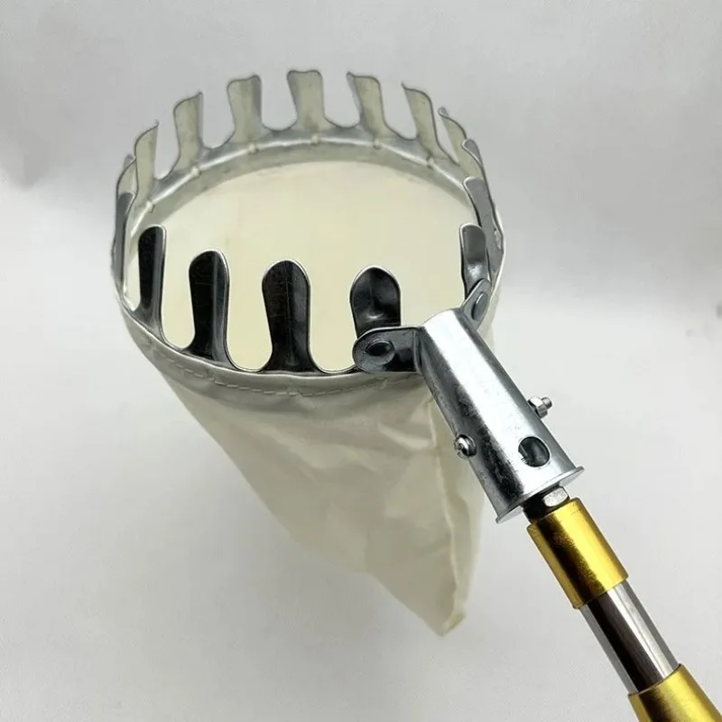 

Stainless Steel Fruit Picker Head Aerial Fruit Picker 8mm joint picker Only 1 Head Agricultural Pick