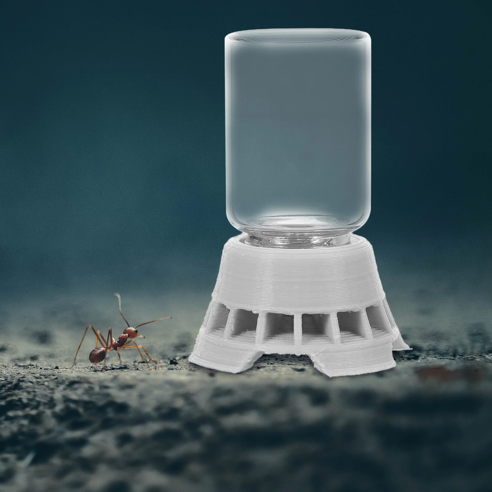 

Reusable Ant Water Feeder Plastic and Glass Material Small Size for Ants Reptiles Lizards Spiders Centipedes Pet Drinking Bowl