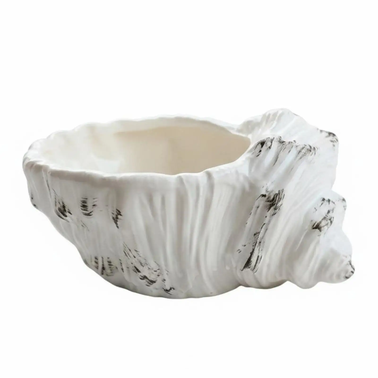Shell Planter White Finish Decorative Succulent Pot Textured