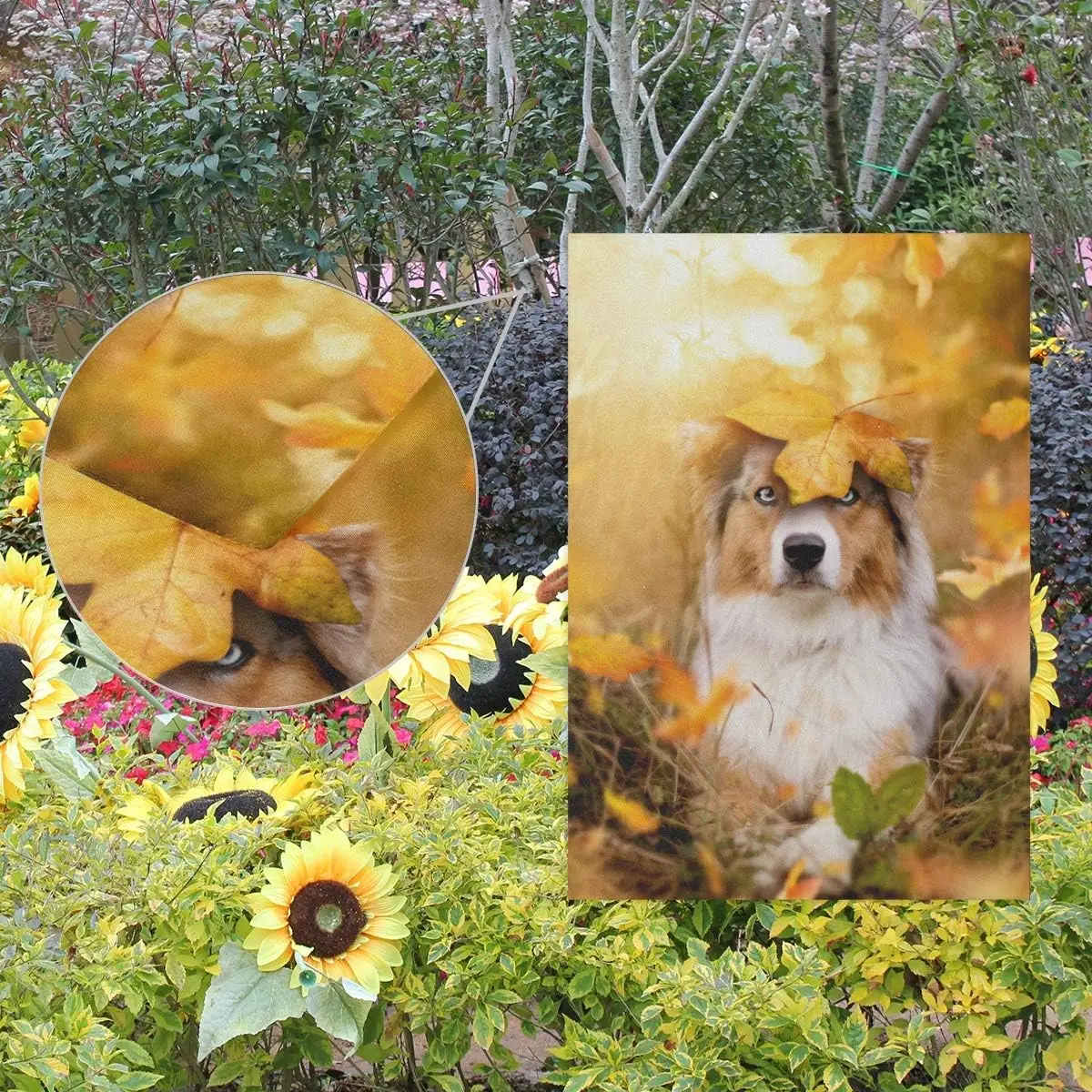 VIKKO Dog Australian Shepherd Autumn Foliage Garden Flag Small Yard Flag Double-Sided Welcome Polyester Yard Banner for Outdoor