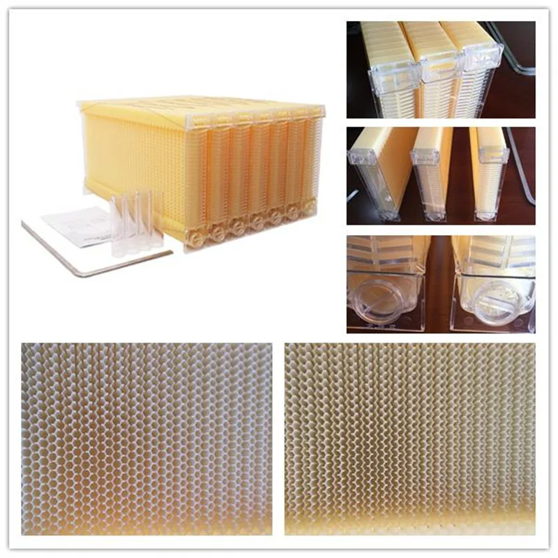7PCS Self Flow Honeycomb Base Plastic Bee Spleen Self Flow Honeycomb Box