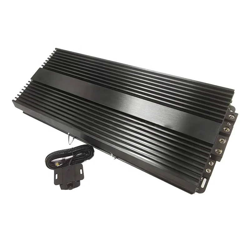 2026 Popular 2000W Class D Car Amplifier 12V Big Power Mono Channel for Music for Race Use-D2000 Car Audio