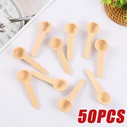 Mini Wooden Spoons Small Wooden Spoons Condiments Spoons Bulk for Spice Coffee Condiment Honey Teas Sugar Kitchen Cooking