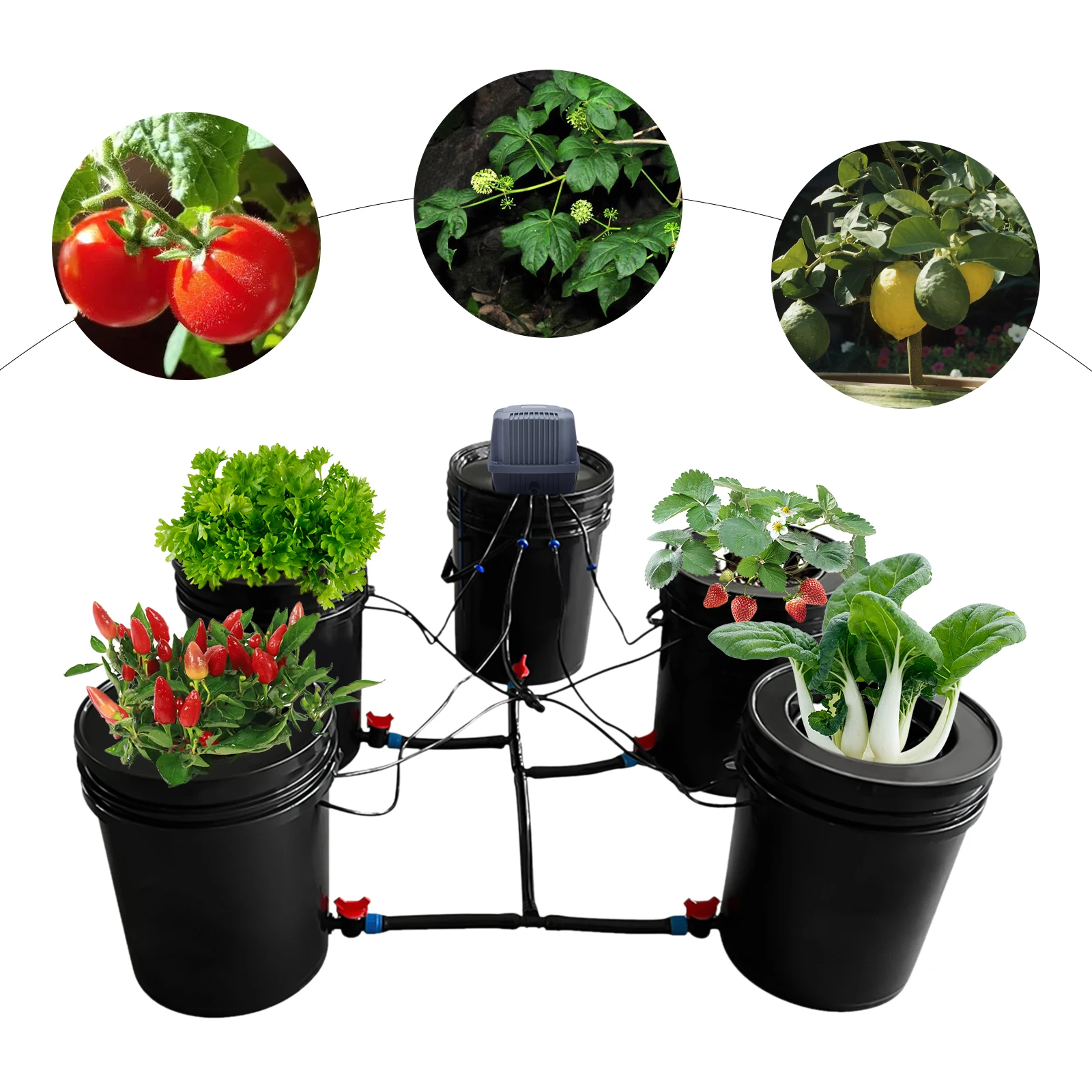 5-Gallon Hydroponics Grow System Recirculating Deep Water Culture Kit 5 Pots