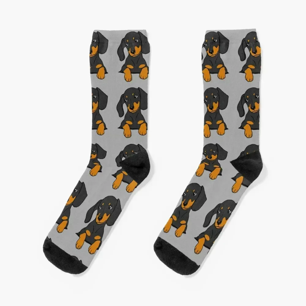 

Dachshund Puppy in Your Pocket Grey Socks basketball FASHION heated Luxury Woman Socks Men's