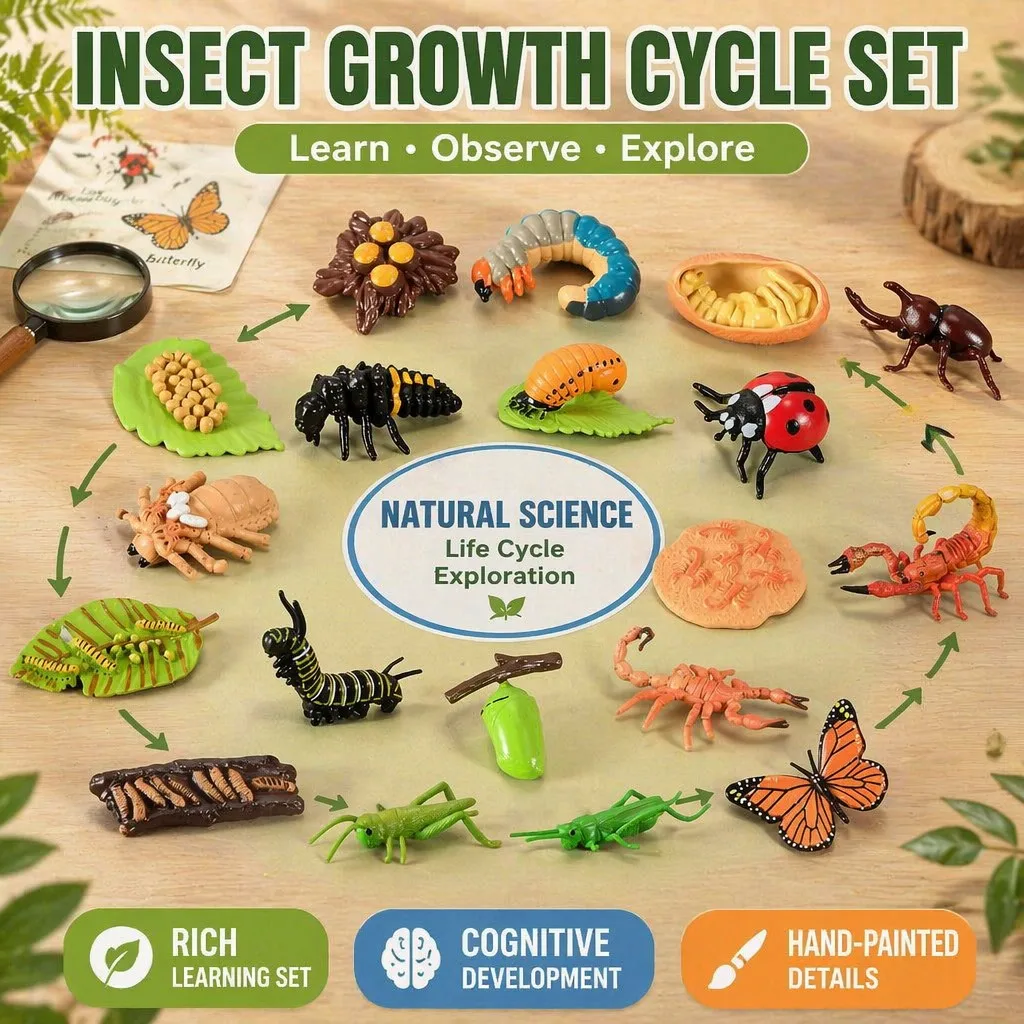 Montessori Lernspielzeug Tierfiguren-Set für Kinder Marienkäfer Käfer Schmetterling Raupen Insekten-Lebenszyklus Mini-Figuren