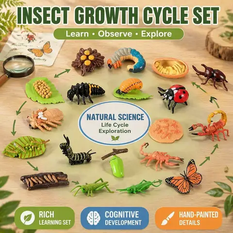 Kids Montessori Educational Animal Figurines Set Ladybug Beetle Butterfly Caterpillar Insect Life Cycle Action Mini Figures Toy