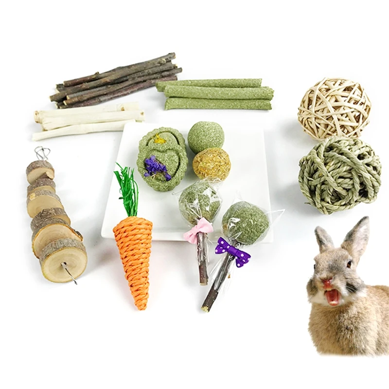 10 Models Chew Toys for Hay Treats for Small Animal Teeth Cleaning Hanging Wood Blocks Timothy Balls for Rabbits Gerbils