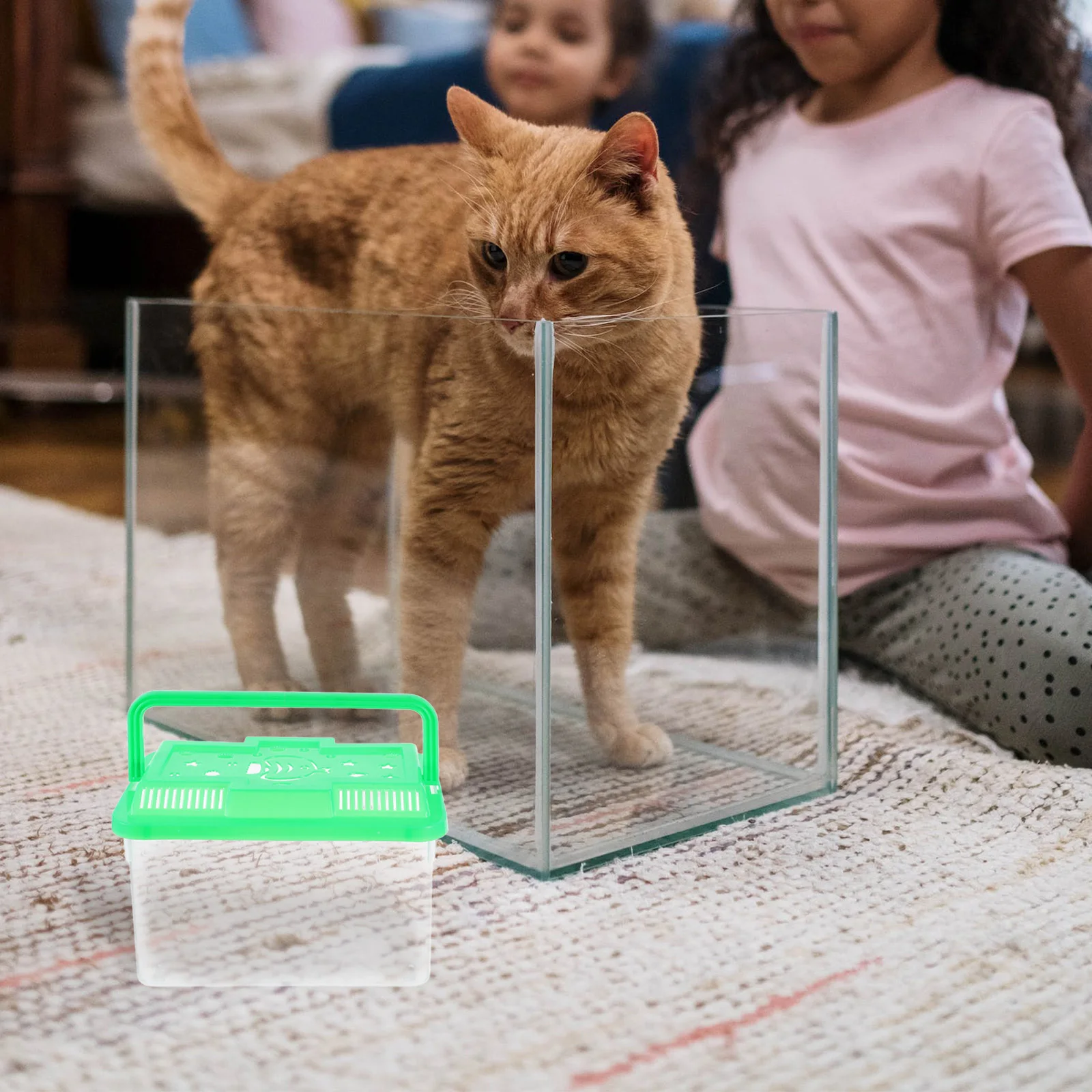 1 خزان الأسماك المحمولة واضح حوض السمك الصغير للسلحفاة الصغيرة الهامستر بيتا الأسماك الزواحف تررم صندوق نقل الحيوانات الأليفة الشفاف