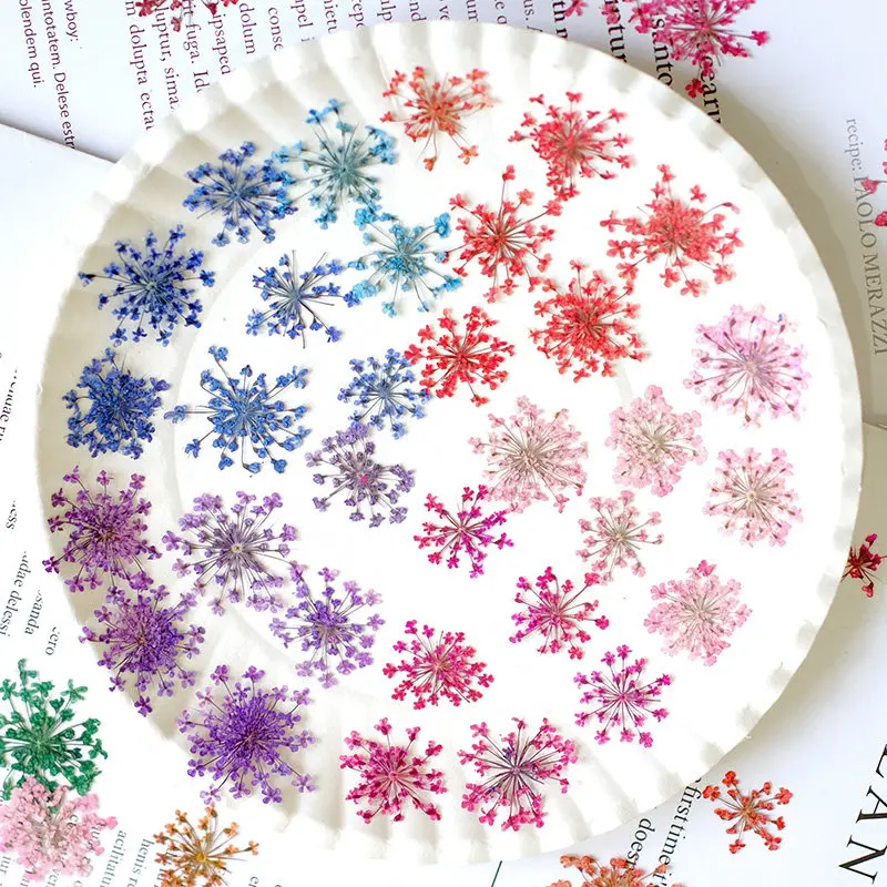 12 Uds.,2-2,5 cm, Mini pétalo de flor prensado de encaje teñido en la naturaleza, flor seca DIY Nail Art joyería de resina decoración Floral suministros de marcos de fotos