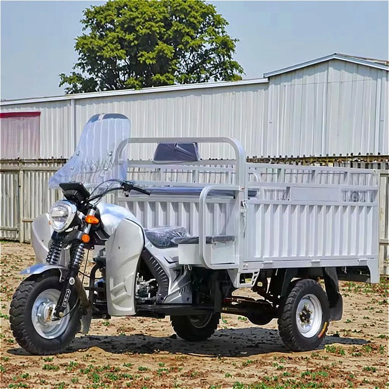 Logistics Electric Cargo Tricycle 48V 1000W 250kg Lockable Box For Warehouse Distribution Center Transport Customized - view 3