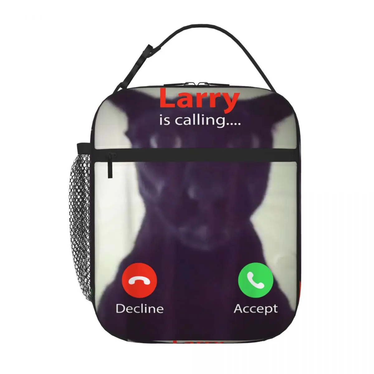 صناديق الغداء المعزولة مضحك الشر لاري القط دانك Brainrot ميمي حاوية الغداء موضة الحرارية برودة علب الاغذية للمدرسة