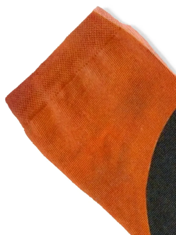 البجعة رقم. 18 Group IX SUW - جوارب Hilma af Klint هدايا بالجملة أحذية المشي لمسافات طويلة جوارب شتوية حرارية للبنات للرجال