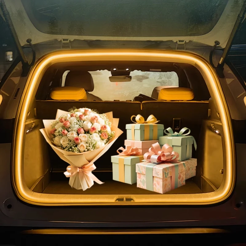 For Byd Songl Dmi T…