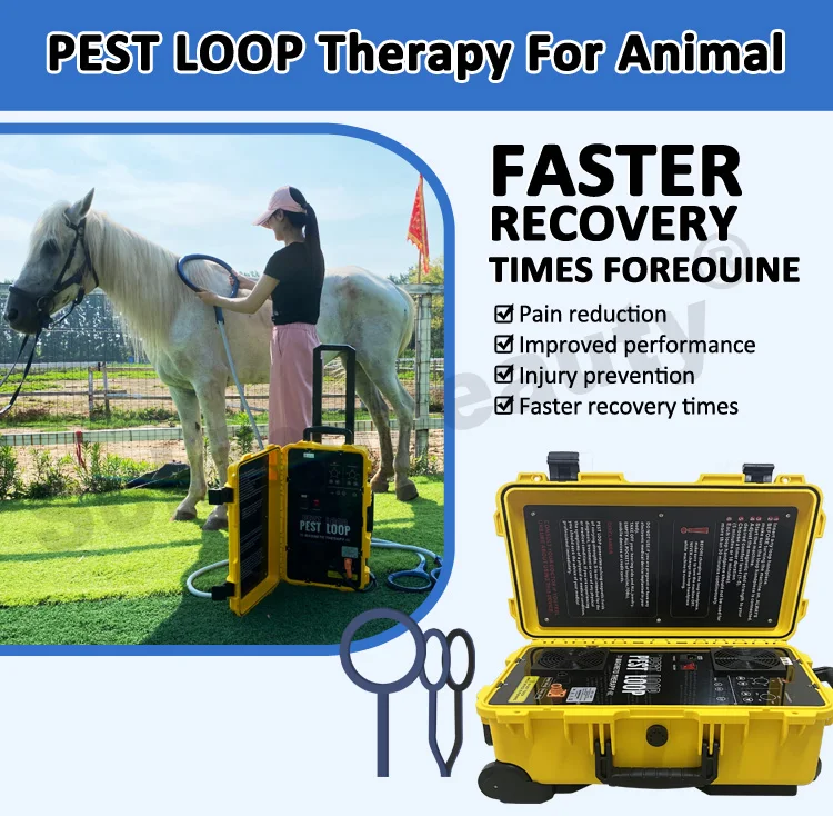 Selling Fast Professional Equine Pemf Therapy Device Horse Magnetic Rehabilitation Machine For Pain Relief Healing