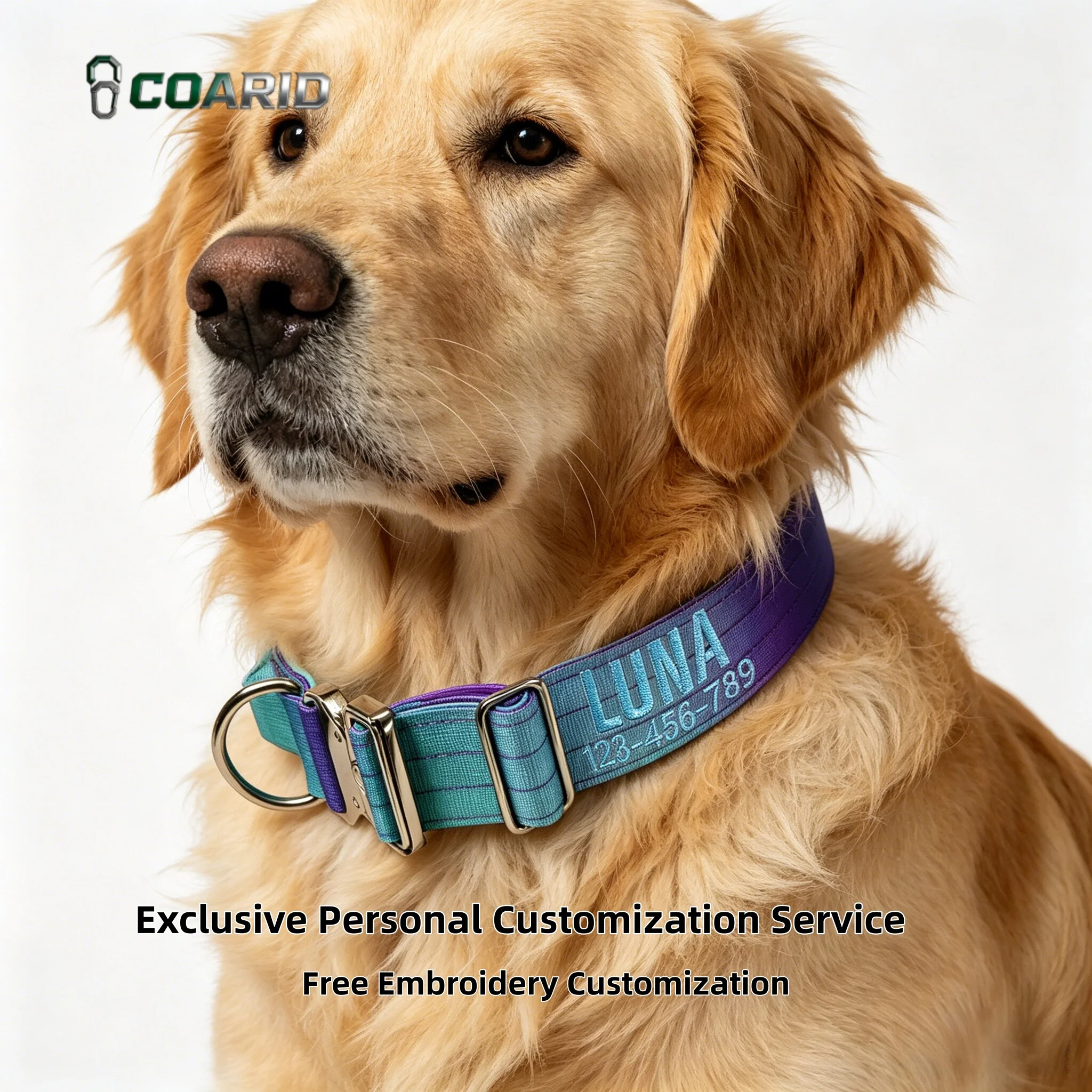 

Custom Gradient Dog Collar 12 Colors Personalized Engraved Knitted Pet Collar for Medium to Large Dogs