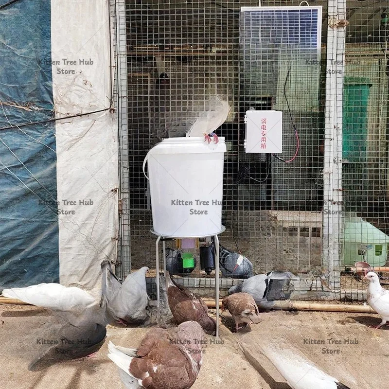 220V Automatic Chicken Feeder Funnel Pellet Pigeon Chicken Duck Pigeon Cage Intelligent Automatic Feeding Artifact