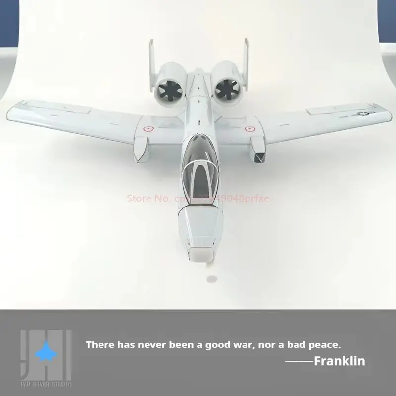 Hot Selling Remote Control Rc Fixed Wing Model Warthog Pig Dual 30 Channel Remote Control Diy Model Airplane Desktop Ornament