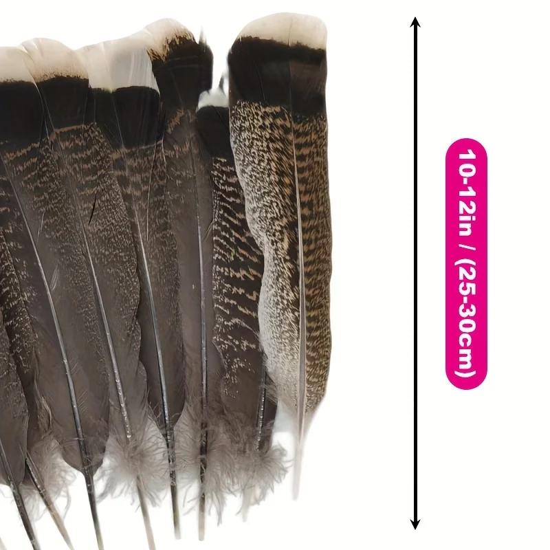 

Natural Turkey Tail Feathers 10 to 35cm Natural Feathers for DIY Crafts Sewing Wedding Party Halloween Costume Decoration