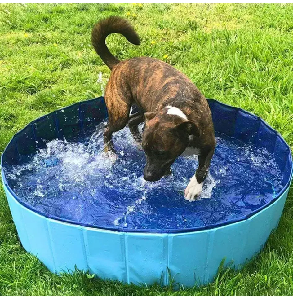 

Foldable Pet Dog Bathing Tub Pool for Small Dogs Cat Pool Toy with Fish-Water Cat ToysInteractive, Portable Pet Grooming Bathtub