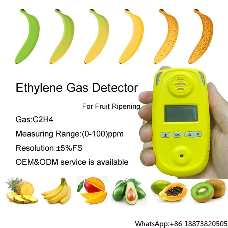 Ripening fruit handheld C2H4 gas analyzer electrochemical sensor 0-100ppm portable ethylene gas meter detector