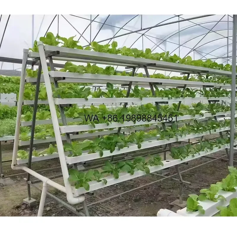 Wmwmnu Durable NFT Hydroponic System Vertical Irrigation Equipment Automated Hydroponics for Agricultural Planting