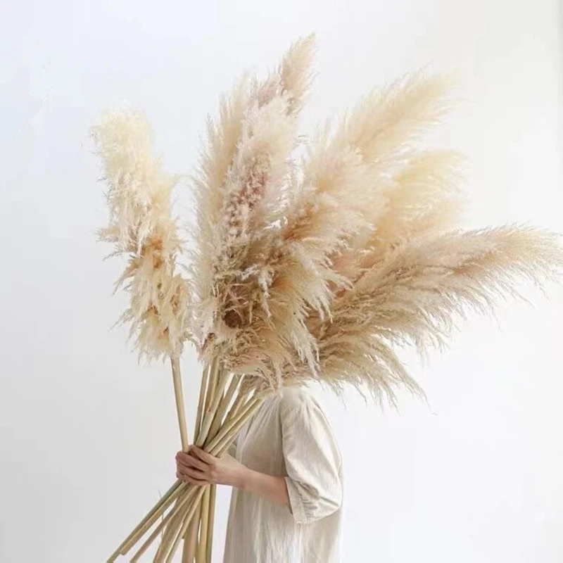 60-120Cm Pluizige Grote Pampas Gras Gedroogde Bloemen Tall Natuurlijke Driy Pampas Kerst Thuis Boho Decor Diy Bruiloft decoratie