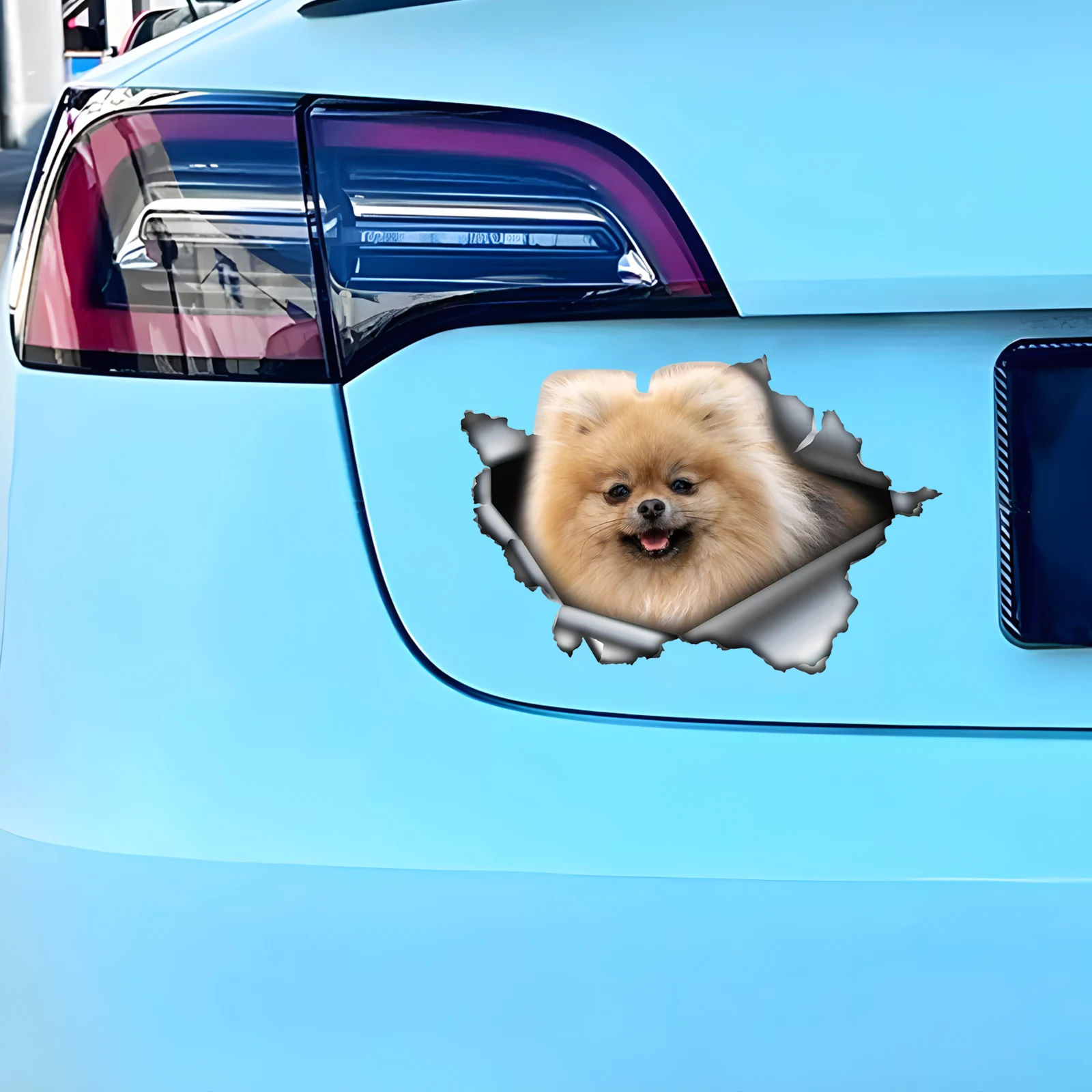 DK534# Cute Pom Car Stickers Scratch Blocking Self-Adhesive Waterproof Decal, Used for Car, Laptop, Motorcycle, Van, RV